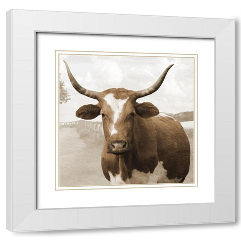 Moov Over White Modern Wood Framed Art Print with Double Matting by Lewis, Sheldon