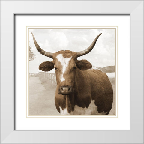 Moov Over White Modern Wood Framed Art Print with Double Matting by Lewis, Sheldon