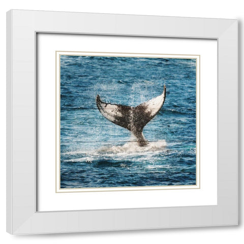 Tails of The Whale White Modern Wood Framed Art Print with Double Matting by Lewis, Sheldon
