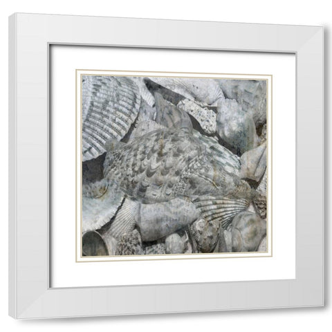Shelly Coast White Modern Wood Framed Art Print with Double Matting by Lewis, Sheldon