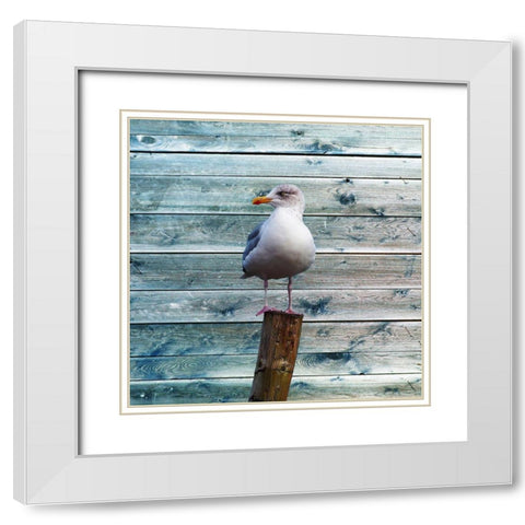Ba Bird White Modern Wood Framed Art Print with Double Matting by Lewis, Sheldon