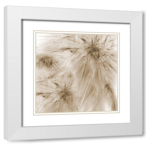 Twister White Modern Wood Framed Art Print with Double Matting by Lewis, Sheldon