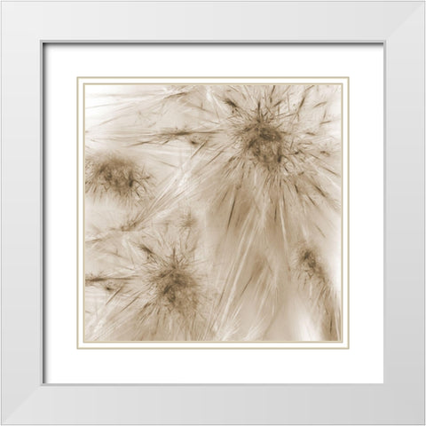 Twister White Modern Wood Framed Art Print with Double Matting by Lewis, Sheldon