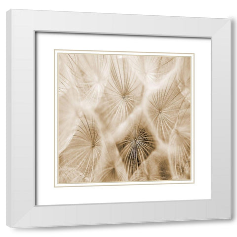 Twister 2 White Modern Wood Framed Art Print with Double Matting by Lewis, Sheldon