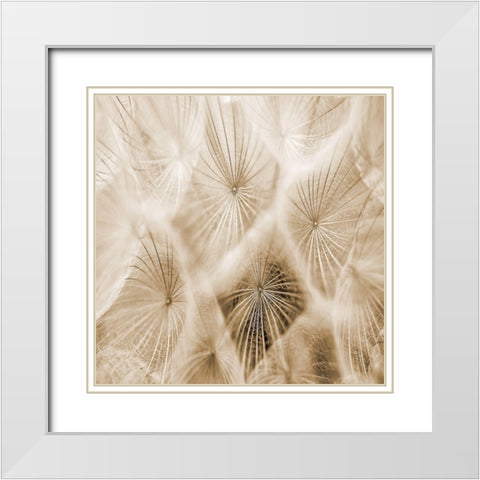 Twister 2 White Modern Wood Framed Art Print with Double Matting by Lewis, Sheldon