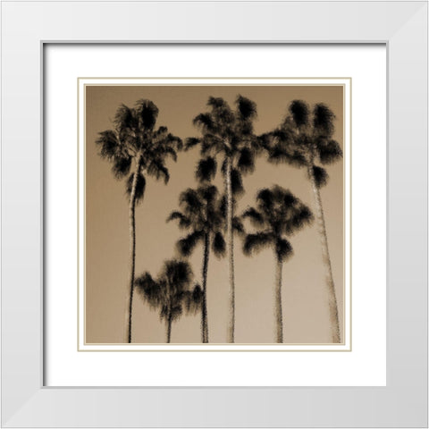 Palmona Grove White Modern Wood Framed Art Print with Double Matting by Lewis, Sheldon