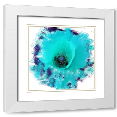 Rose Garden White Modern Wood Framed Art Print with Double Matting by Lewis, Sheldon