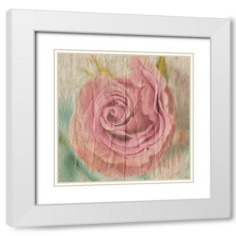 Vintage Rose White Modern Wood Framed Art Print with Double Matting by Lewis, Sheldon