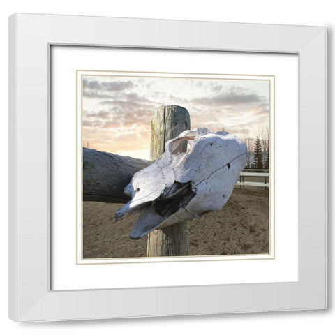 Rancher White Modern Wood Framed Art Print with Double Matting by Lewis, Sheldon