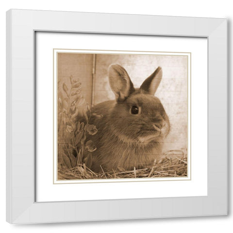 Robby White Modern Wood Framed Art Print with Double Matting by Lewis, Sheldon