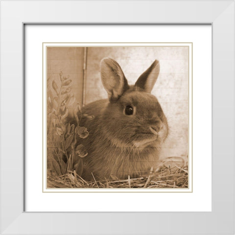 Robby White Modern Wood Framed Art Print with Double Matting by Lewis, Sheldon