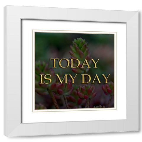 My Day White Modern Wood Framed Art Print with Double Matting by Lewis, Sheldon