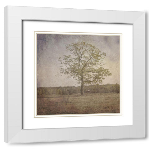 Open Field White Modern Wood Framed Art Print with Double Matting by Lewis, Sheldon