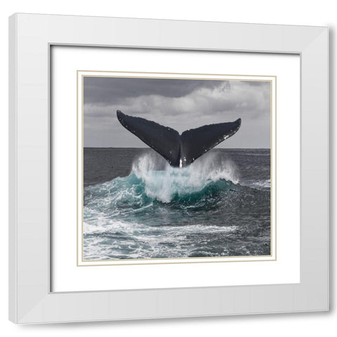 St Vincent Coast White Modern Wood Framed Art Print with Double Matting by Lewis, Sheldon