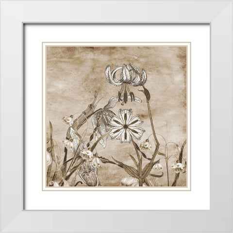 Earth Balance 2 White Modern Wood Framed Art Print with Double Matting by Lewis, Sheldon