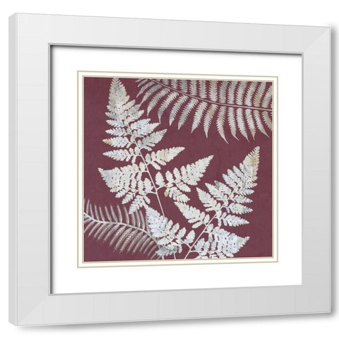 Fern Time 2 White Modern Wood Framed Art Print with Double Matting by Lewis, Sheldon