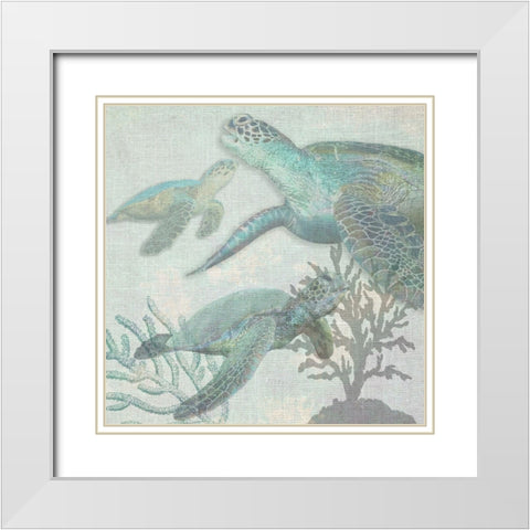 Turtles White Modern Wood Framed Art Print with Double Matting by Lewis, Sheldon