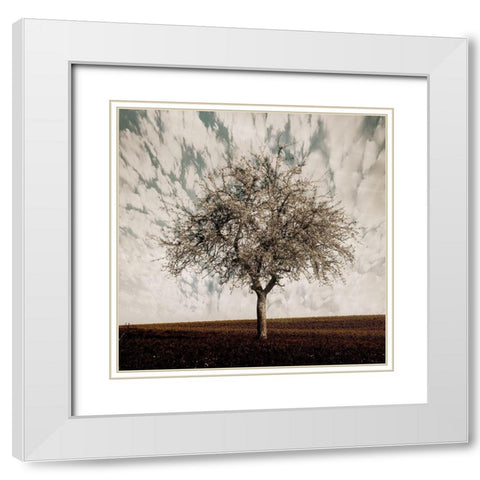 Evening Calm White Modern Wood Framed Art Print with Double Matting by Lewis, Sheldon