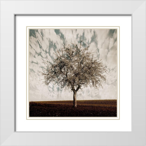 Evening Calm White Modern Wood Framed Art Print with Double Matting by Lewis, Sheldon