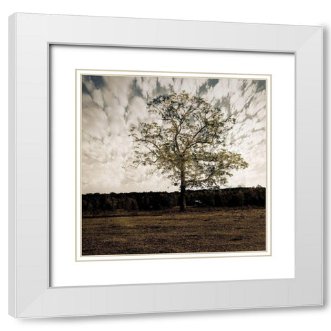 Evening Calm 2 White Modern Wood Framed Art Print with Double Matting by Lewis, Sheldon