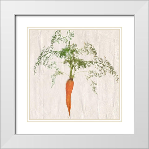 Carrot White Modern Wood Framed Art Print with Double Matting by Lewis, Sheldon