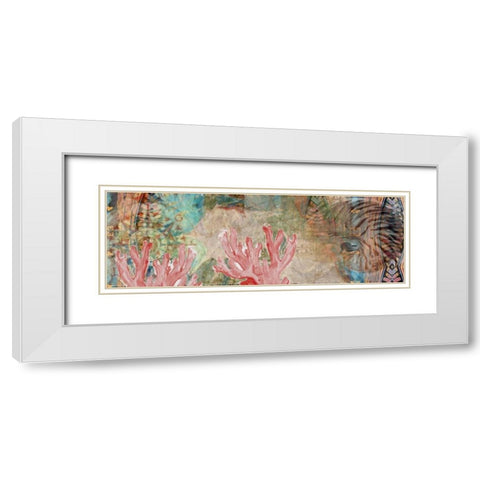 Mexican Shells White Modern Wood Framed Art Print with Double Matting by Butcher, Sarah