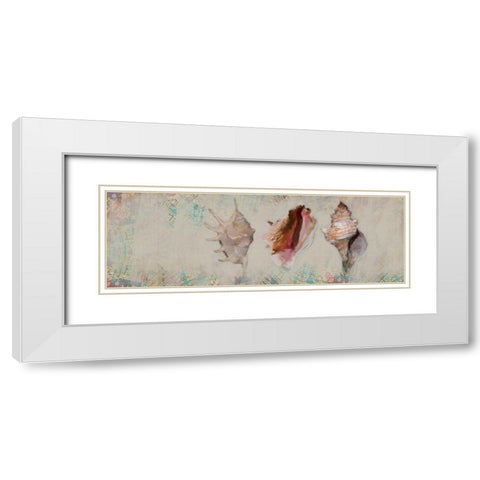 Shells White Modern Wood Framed Art Print with Double Matting by Butcher, Sarah