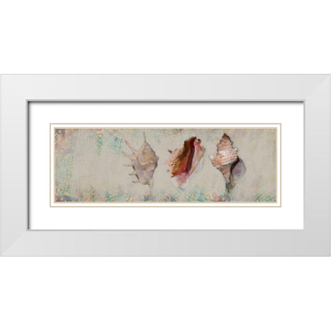 Shells White Modern Wood Framed Art Print with Double Matting by Butcher, Sarah