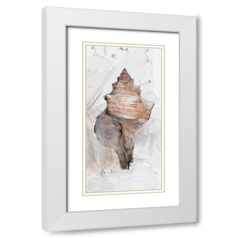 Shells Around The World 1 White Modern Wood Framed Art Print with Double Matting by Butcher, Sarah