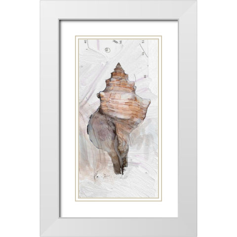 Shells Around The World 1 White Modern Wood Framed Art Print with Double Matting by Butcher, Sarah