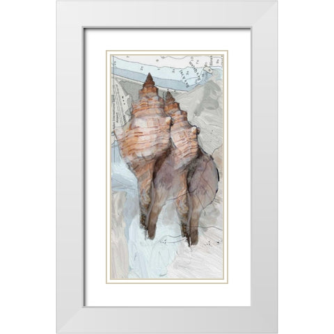 Shells Around The World 2 White Modern Wood Framed Art Print with Double Matting by Butcher, Sarah