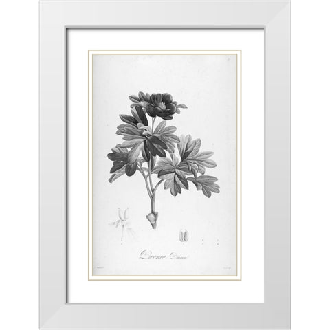 Botanical Eclipse 1 White Modern Wood Framed Art Print with Double Matting by Carlson, Tina