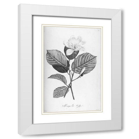 Botanical Eclipse 4 White Modern Wood Framed Art Print with Double Matting by Carlson, Tina