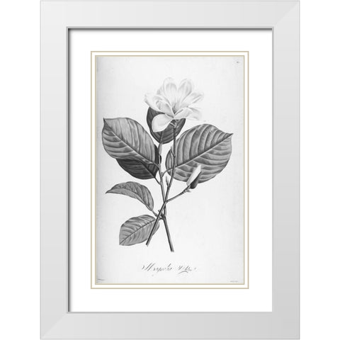 Botanical Eclipse 4 White Modern Wood Framed Art Print with Double Matting by Carlson, Tina