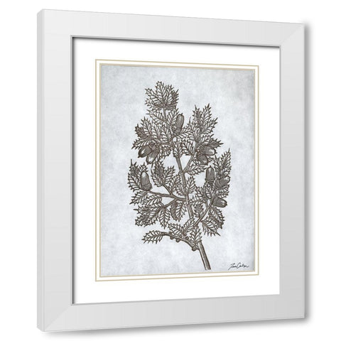 Oak Tree 3 White Modern Wood Framed Art Print with Double Matting by Carlson, Tina