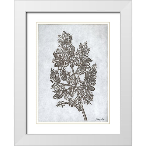 Oak Tree 3 White Modern Wood Framed Art Print with Double Matting by Carlson, Tina