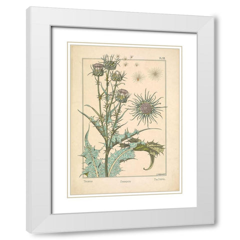 Thistle Chardon White Modern Wood Framed Art Print with Double Matting by Carlson, Tina