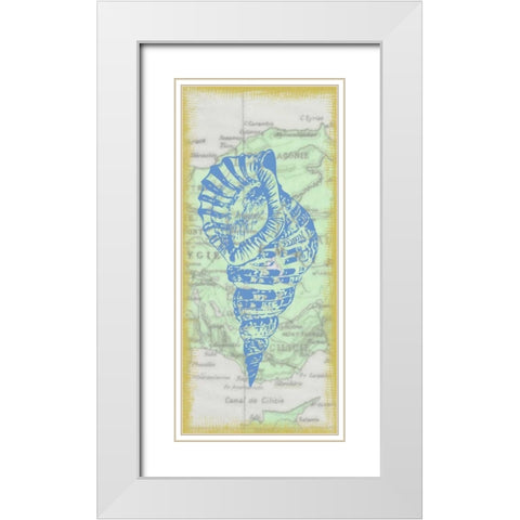 Shell White Modern Wood Framed Art Print with Double Matting by Greene, Taylor