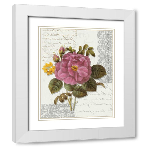 Rose On Scroll II White Modern Wood Framed Art Print with Double Matting by Greene, Taylor