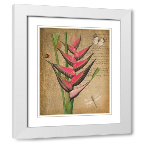 BROMELIAD ON GOLD White Modern Wood Framed Art Print with Double Matting by Greene, Taylor