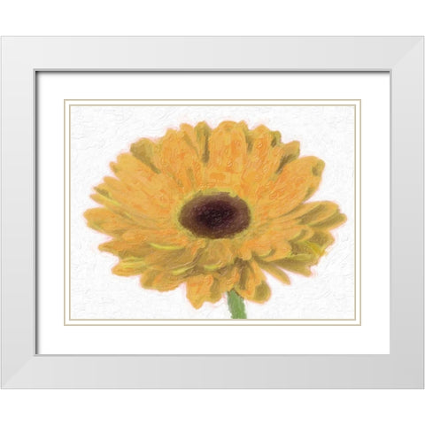 TANGO GERBER White Modern Wood Framed Art Print with Double Matting by Greene, Taylor