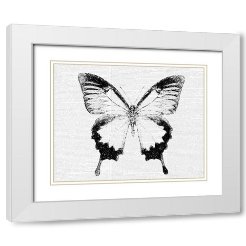 Butterfly 1 White Modern Wood Framed Art Print with Double Matting by Greene, Taylor