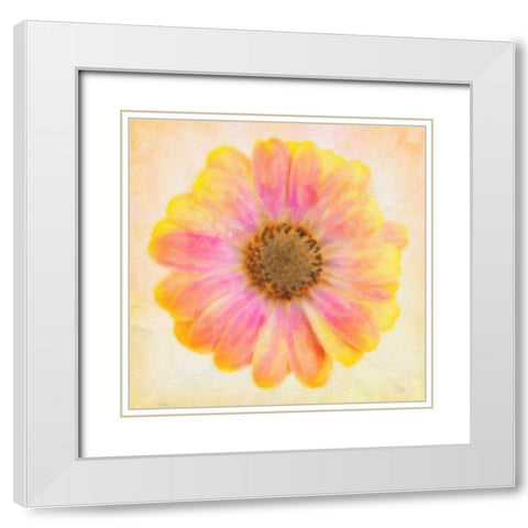 DAISY CHAIN 2 White Modern Wood Framed Art Print with Double Matting by Greene, Taylor
