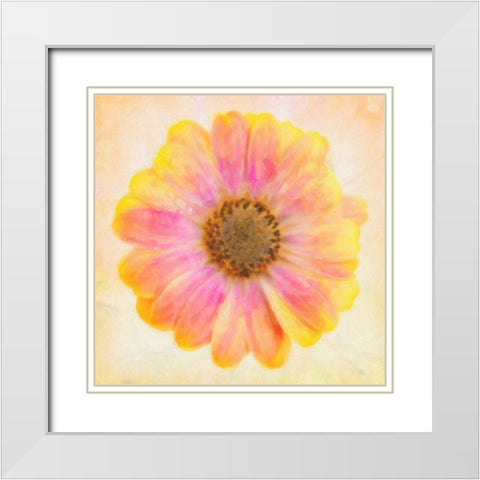 DAISY CHAIN 2 White Modern Wood Framed Art Print with Double Matting by Greene, Taylor