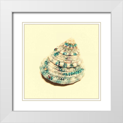 Jeweled Shell 2 White Modern Wood Framed Art Print with Double Matting by Greene, Taylor