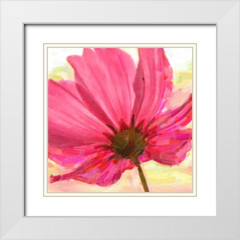 Red Poppy I White Modern Wood Framed Art Print with Double Matting by Greene, Taylor