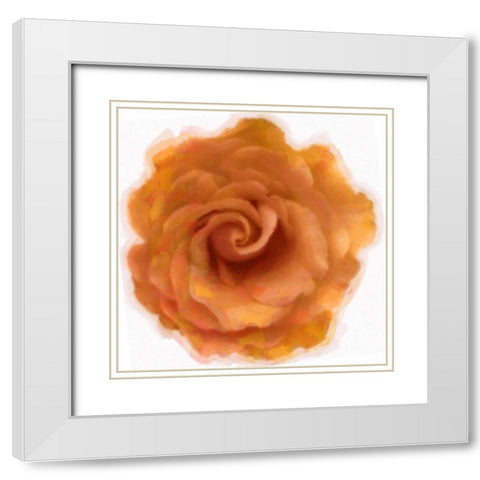 Orange Rose White Modern Wood Framed Art Print with Double Matting by Greene, Taylor