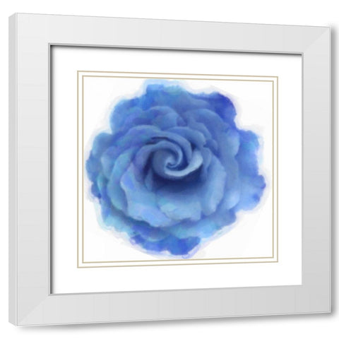 Blue Rose White Modern Wood Framed Art Print with Double Matting by Greene, Taylor