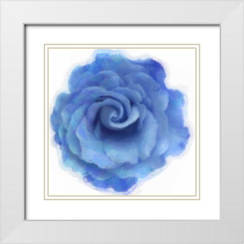 Blue Rose White Modern Wood Framed Art Print with Double Matting by Greene, Taylor
