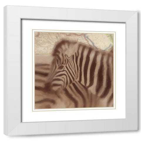 Zebra Travels White Modern Wood Framed Art Print with Double Matting by Greene, Taylor